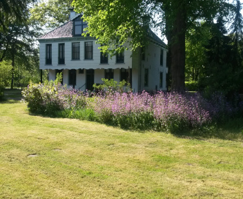 achtertuin kippenburg